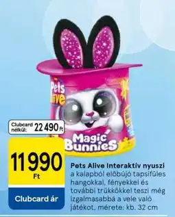 Tesco Pets Alive interaktív nyuszi ajánlat