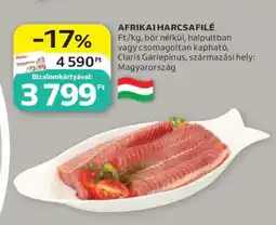 Auchan Afrikai Harcsafilé ajánlat