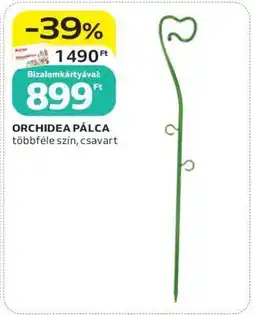 Auchan ORCHIDEA PÁLCA ajánlat