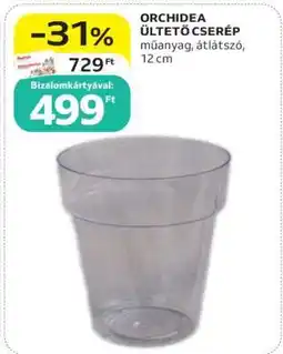 Auchan ORCHIDEA ÜLTETŐ CSERÉP ajánlat