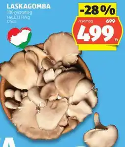 ALDI Laskagomba ajánlat