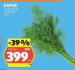 ALDI Kapor ajánlat