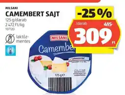 ALDI MILSANI CAMEMBERT SAJT ajánlat