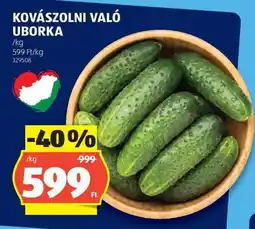 ALDI Kovászolni való uborka ajánlat