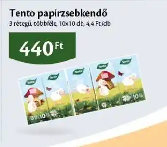 EcoFamily Tento papírzsebkendő ajánlat