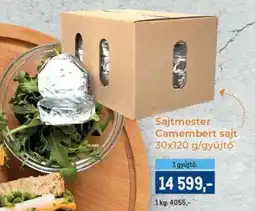 Metro Sajtmester Camembert sajt ajánlat
