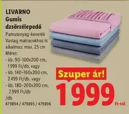 Lidl Livarno Gumis dzsörzélepedő ajánlat