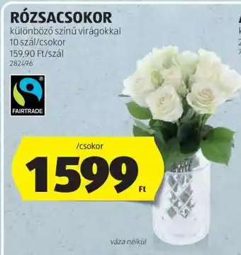 RÓZSACSOKOR