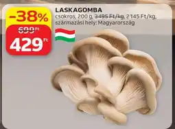 Auchan Laskagomba ajánlat