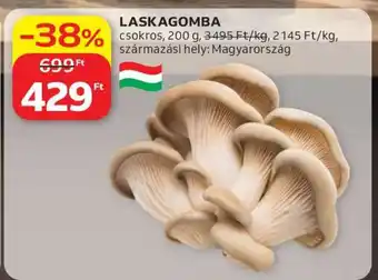 Laskagomba