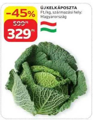Új kelkáposzta