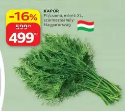 Auchan Kapor ajánlat