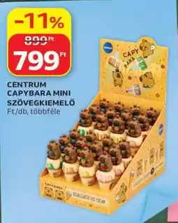 Auchan CENTRUM CAPYBARA MINI SZÖVEGKIEMELŐ ajánlat