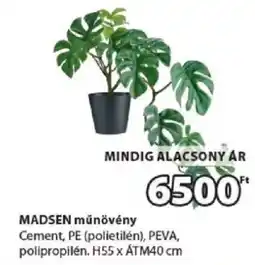 JYSK Madsen műnövény ajánlat