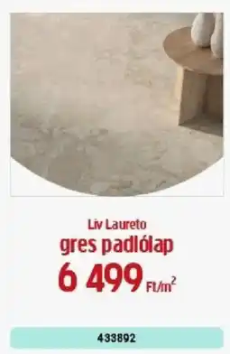 Praktiker Liv Laureto gres padlólap ajánlat