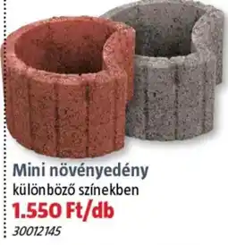 Bauhaus Mini növényedény ajánlat
