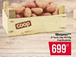 Coop Coop újburgonya ajánlat