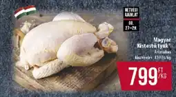 Coop Magyar Kistestű tyúk ajánlat