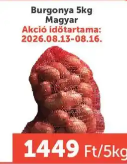 PRIVÁT Magyar burgonya ajánlat