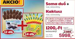 Family Frost Soma duó + Kaktusz ajánlat