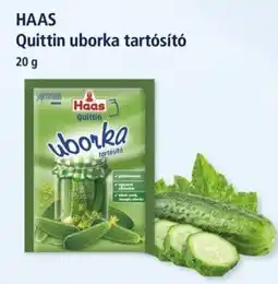 Goods Market Haas quittin uborka tartósító ajánlat