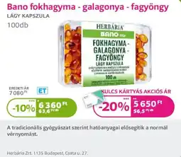 Kulcs Patika Bano fokhagyma galagonya fagyöngy ajánlat