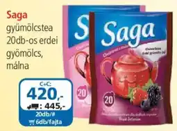 ÁRKLUB Saga gyümölcs tea ajánlat