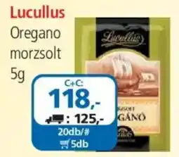 ÁRKLUB Lucullus oregano ajánlat