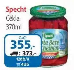 ÁRKLUB Specht cékla ajánlat