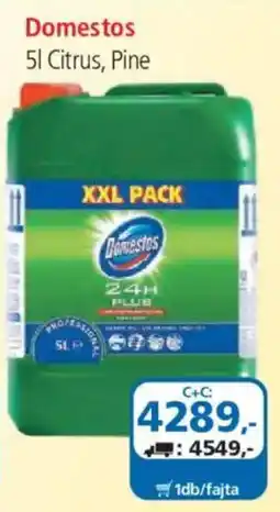 ÁRKLUB Domestos ajánlat