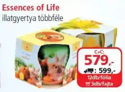 ÁRKLUB Essences of Life illatgyertya ajánlat