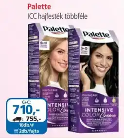 ÁRKLUB Palette ICC hajfesték ajánlat