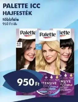 Azúr Palette hajfesték ajánlat