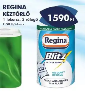 Regina kéztörlő