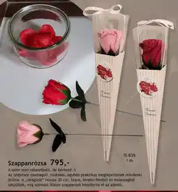Betly Szappanrózsa ajánlat