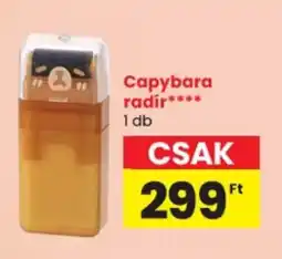 Spar Capybara radír ajánlat