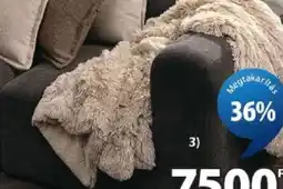 JYSK Myrfiol pled ajánlat