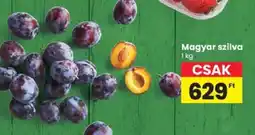 Spar Magyar szilva ajánlat