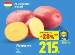 Lidl Újburgonya ajánlat