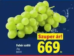 Lidl Fehér szőlő ajánlat