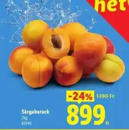 Lidl Sárgabarack ajánlat