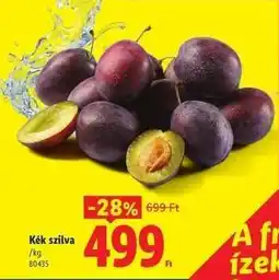 Lidl Kék szilva ajánlat