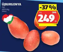 ALDI Újburgonya ajánlat