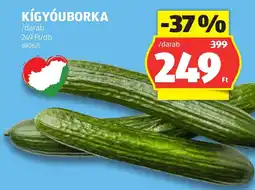 ALDI Kígyóuborka ajánlat