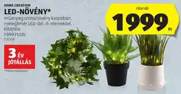 ALDI Home Creation led-növény ajánlat