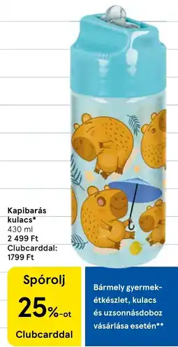 Tesco Kapibarás kulacs ajánlat