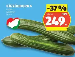 ALDI Kígyóuborka ajánlat