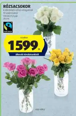 ALDI RÓZSACSOKOR ajánlat
