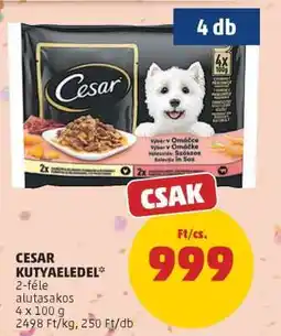 PENNY CESAR KUTYAELEDEL ajánlat