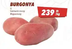 CBA burgonya ajánlat